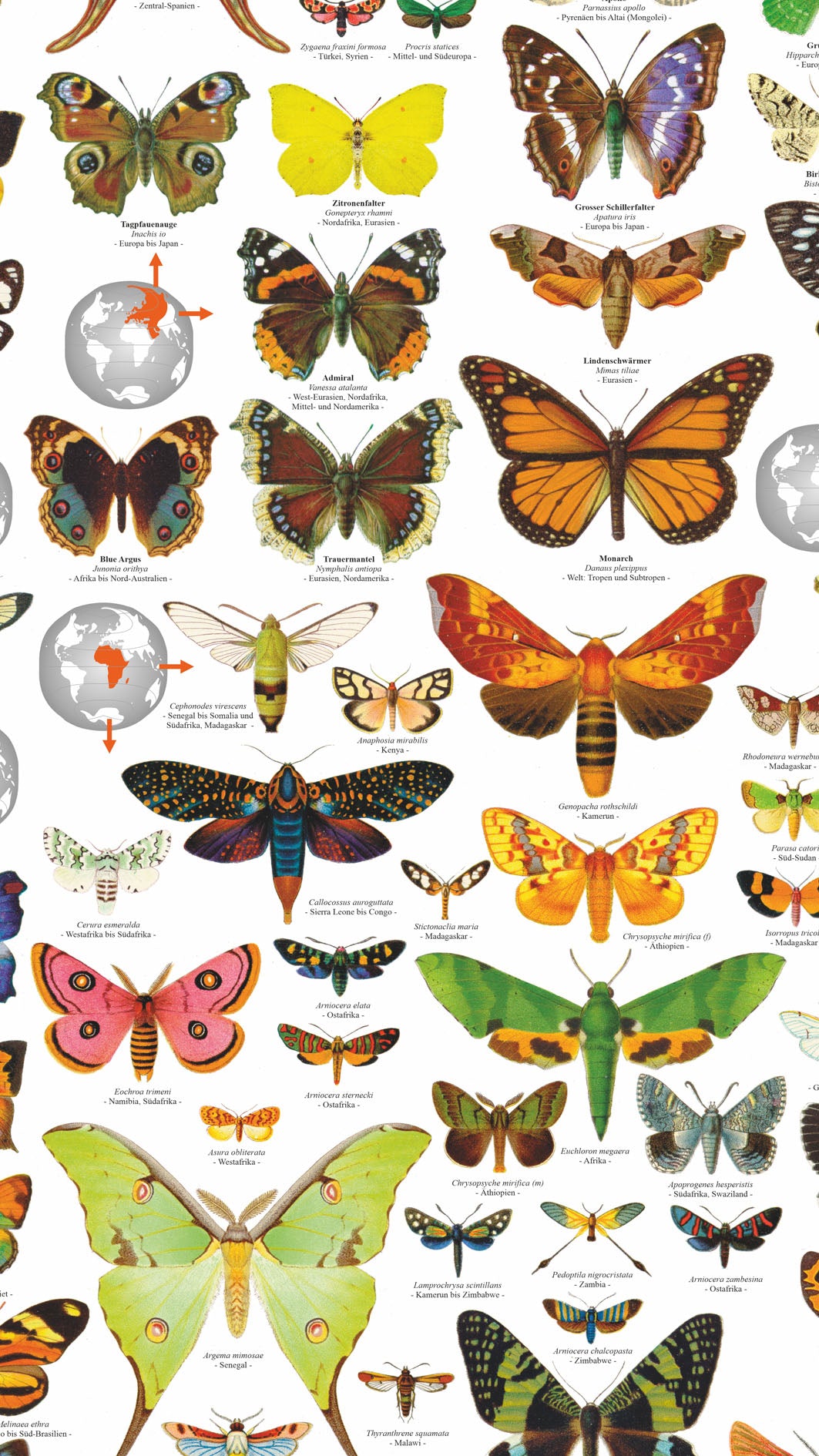 Biologie Wissenladen