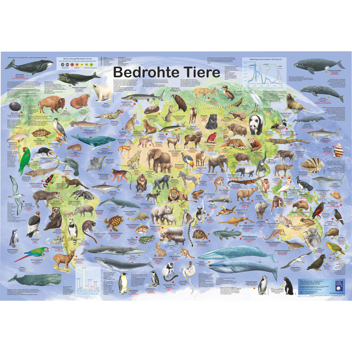 Poster "Bedrohte Tiere"