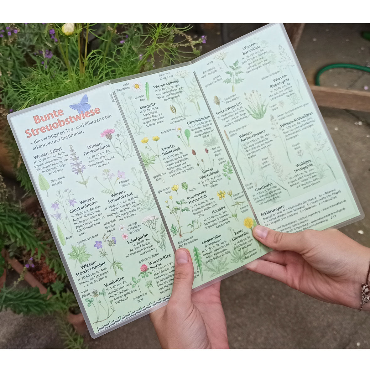 Bestimmungshilfe "Bunte Streuobstwiese"