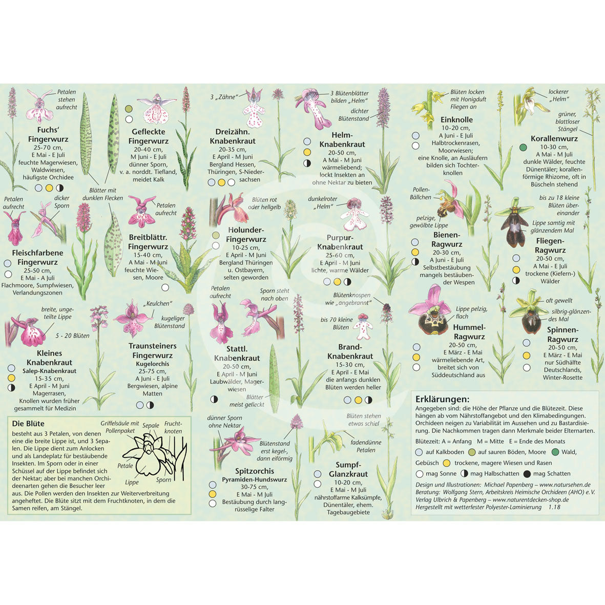 Bestimmungshilfe "Orchideen"