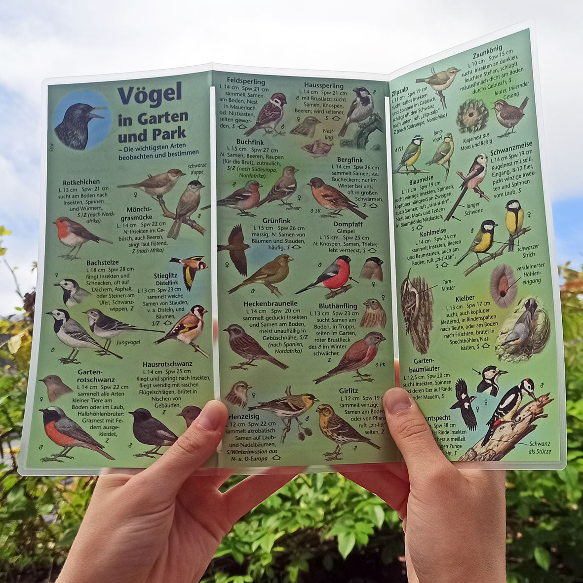 Bestimmungshilfe "Vögel in Garten und Park"