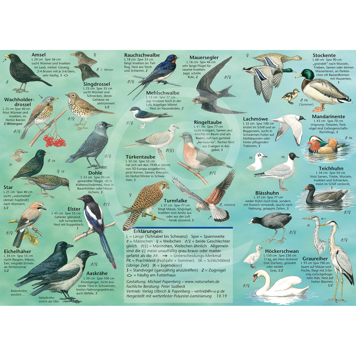 Bestimmungshilfe "Vögel in Garten und Park"