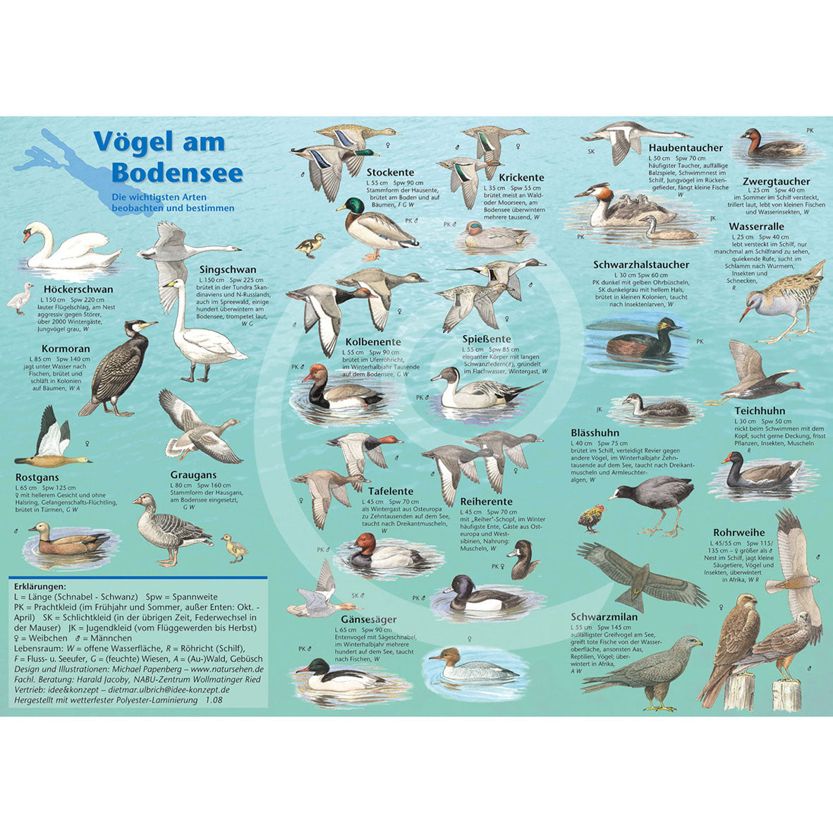 Bestimmungshilfe "Vogelwelt am Bodensee"