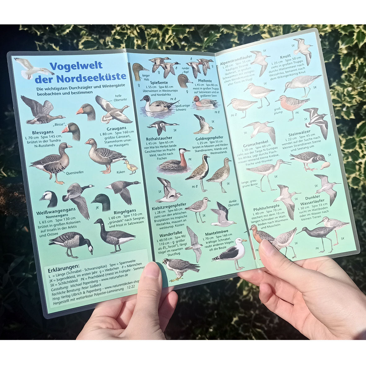 Bestimmungshilfe "Vogelwelt der Nordseeküste"