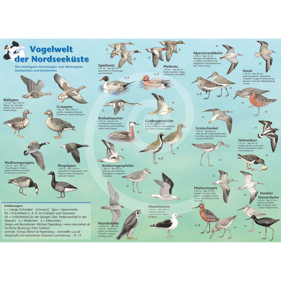 Bestimmungshilfe "Vogelwelt der Nordseeküste"