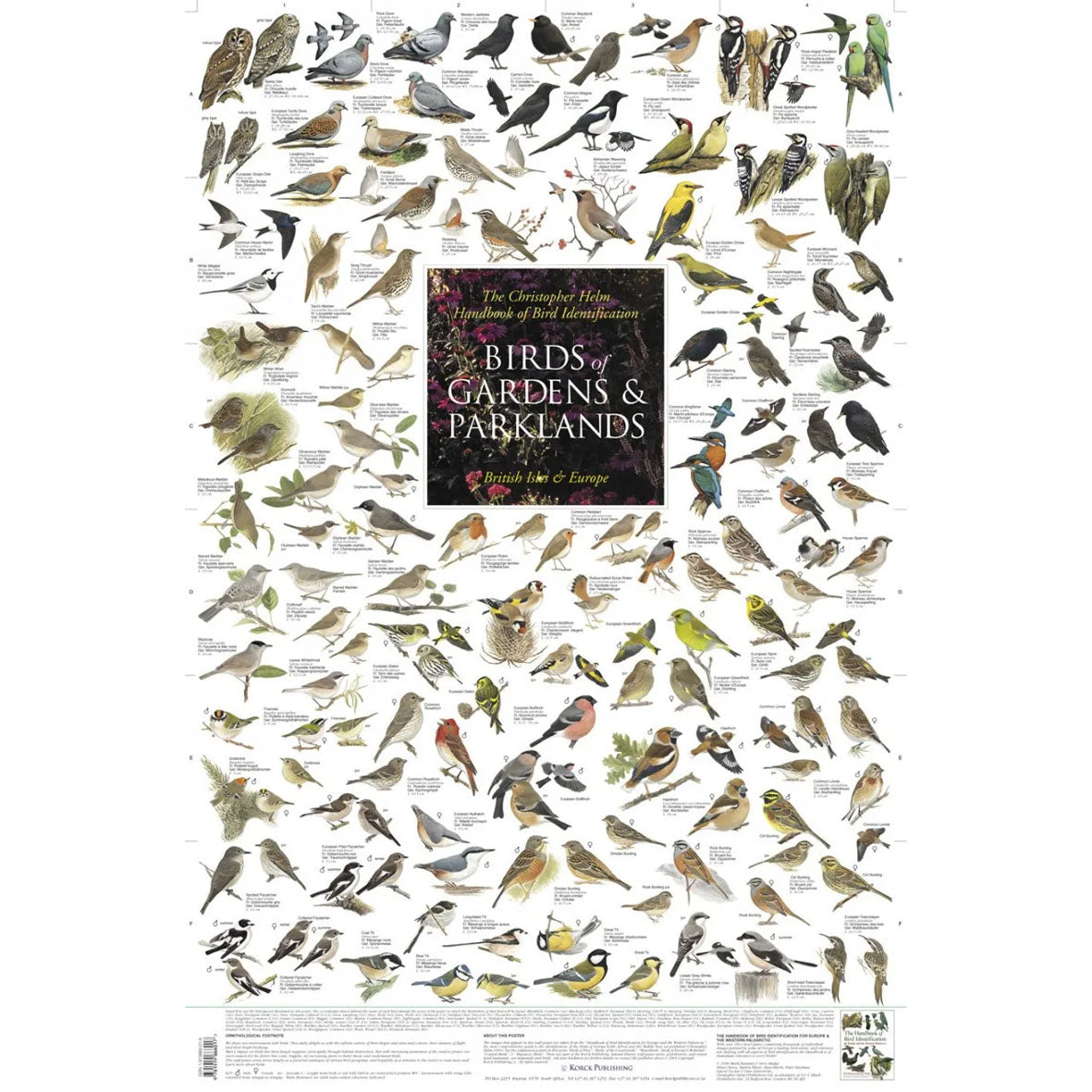 Poster "Birds of Gardens and Parklands"