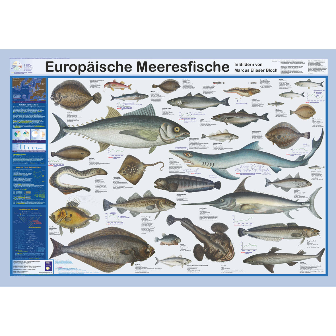 Poster "Europäische Meeresfische"