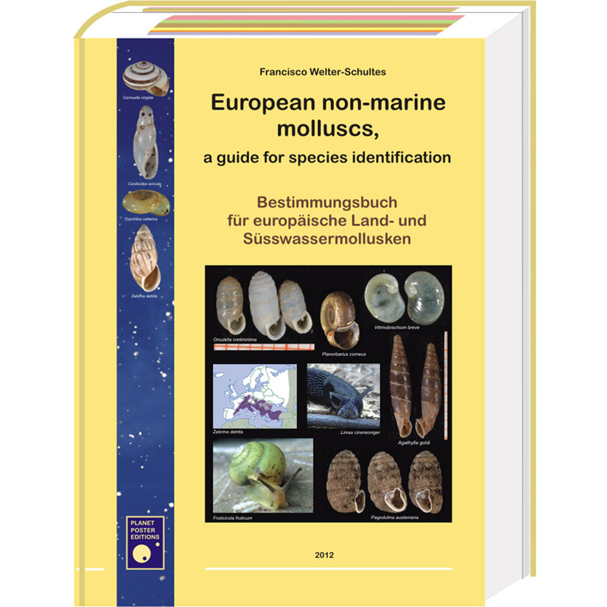 European non-marine molluscs, a guide for species identification