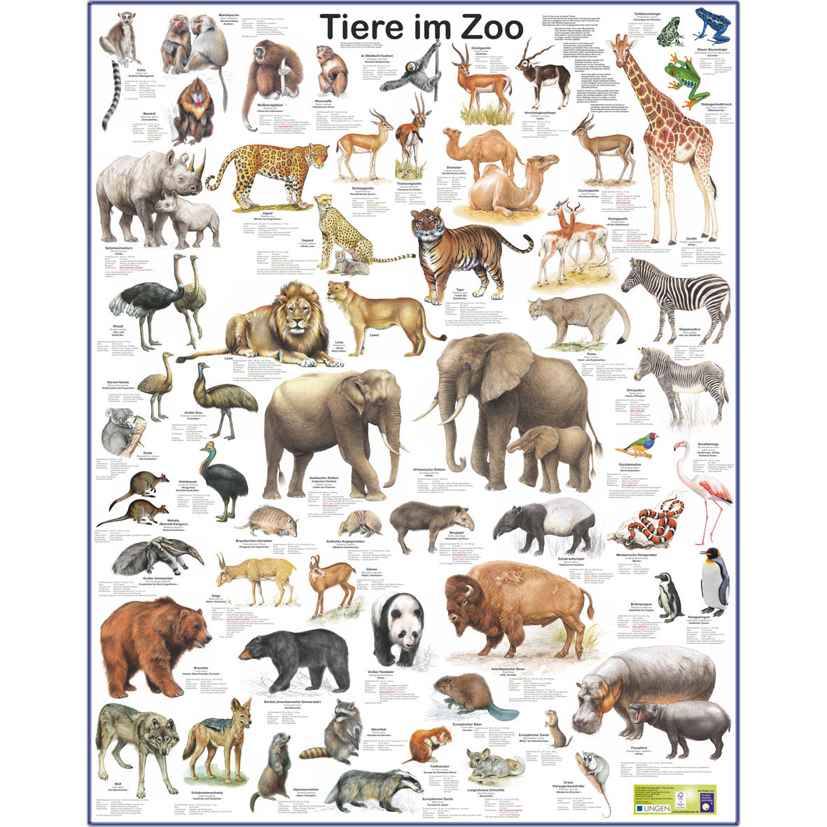 Großposter "Tiere im Zoo"