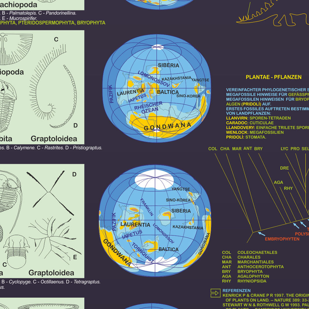 Poster "Lebendiger Planet"