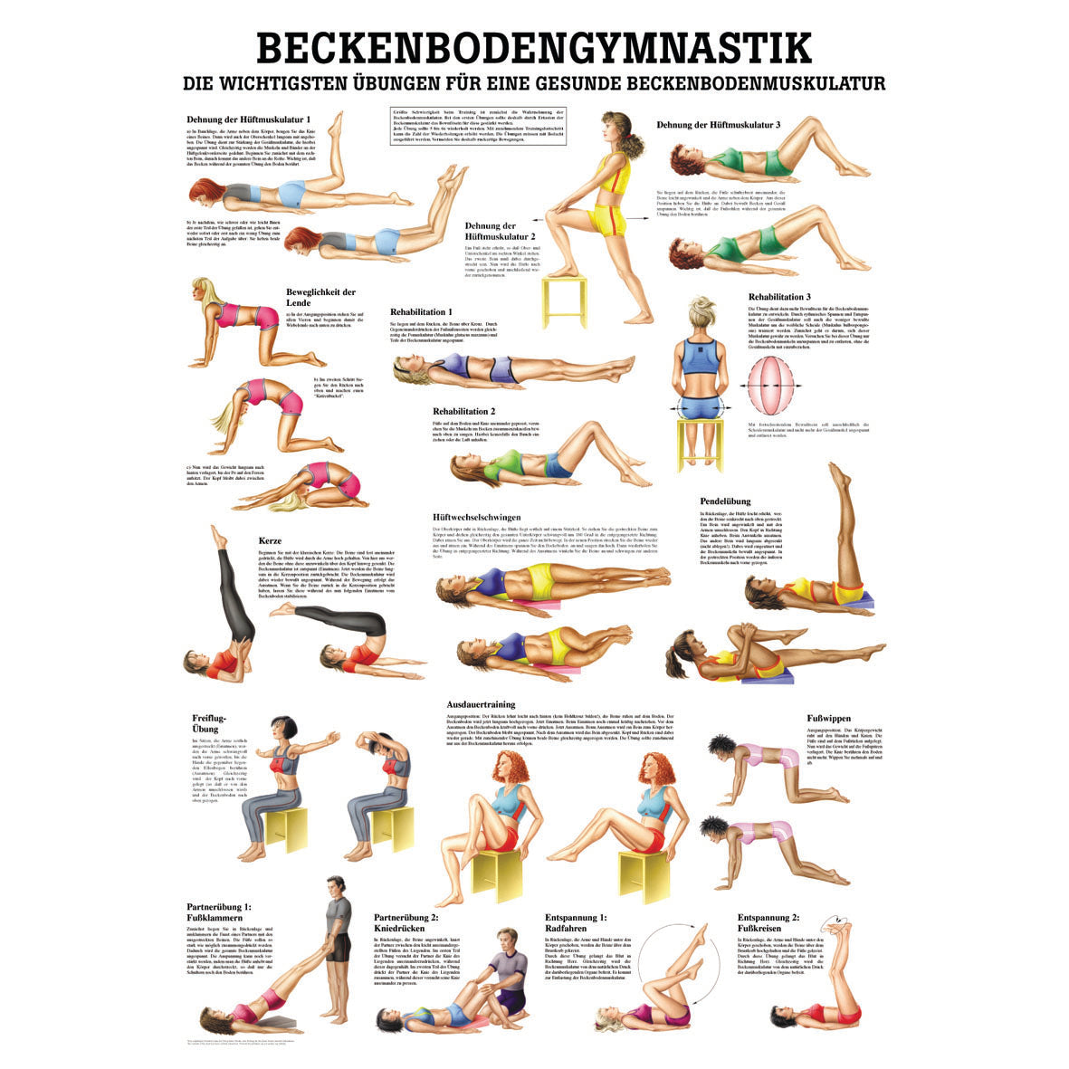 Poster "Beckenbodengymnastik"