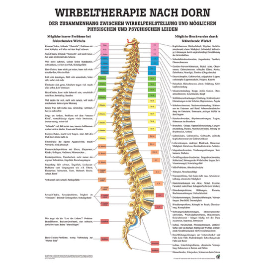 Anatomisches Miniposter "Wirbeltherapie nach Dorn"