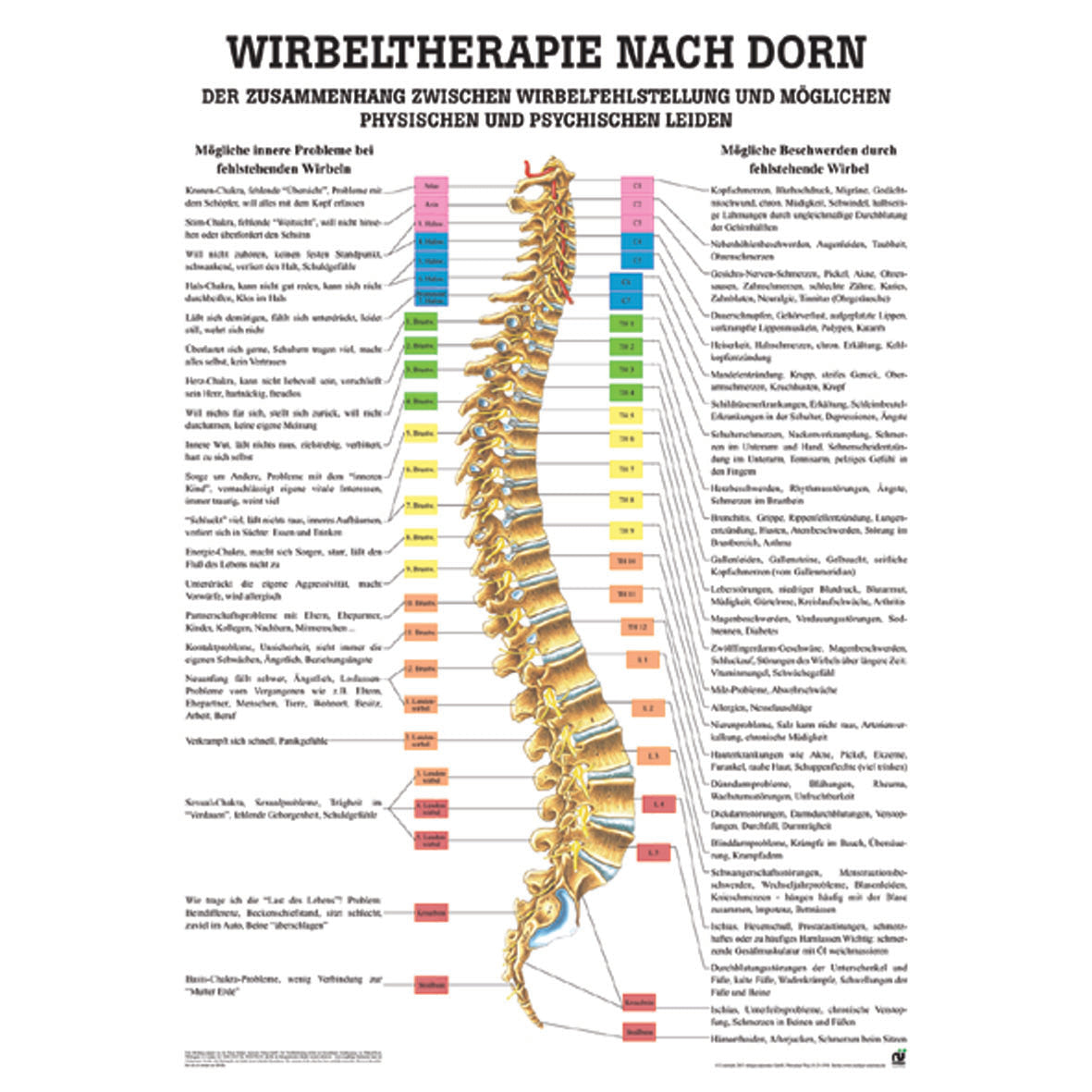 Anatomisches Poster "Wirbeltherapie nach Dorn"