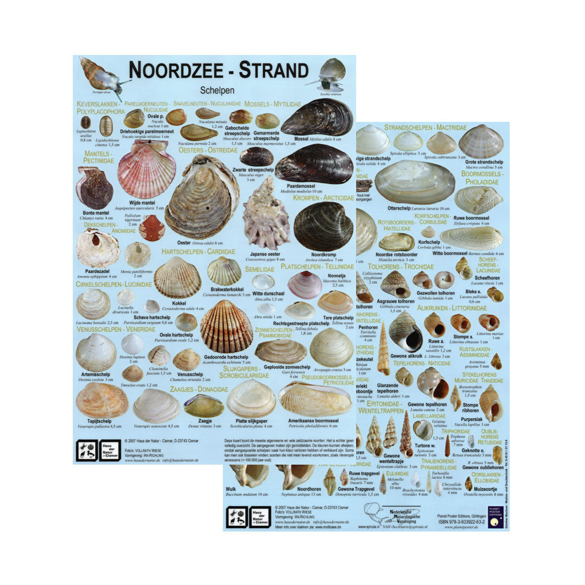 Chart "Noordzee-Strand"