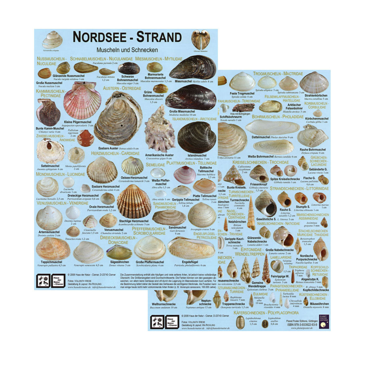 Chart "Nordsee-Strand"