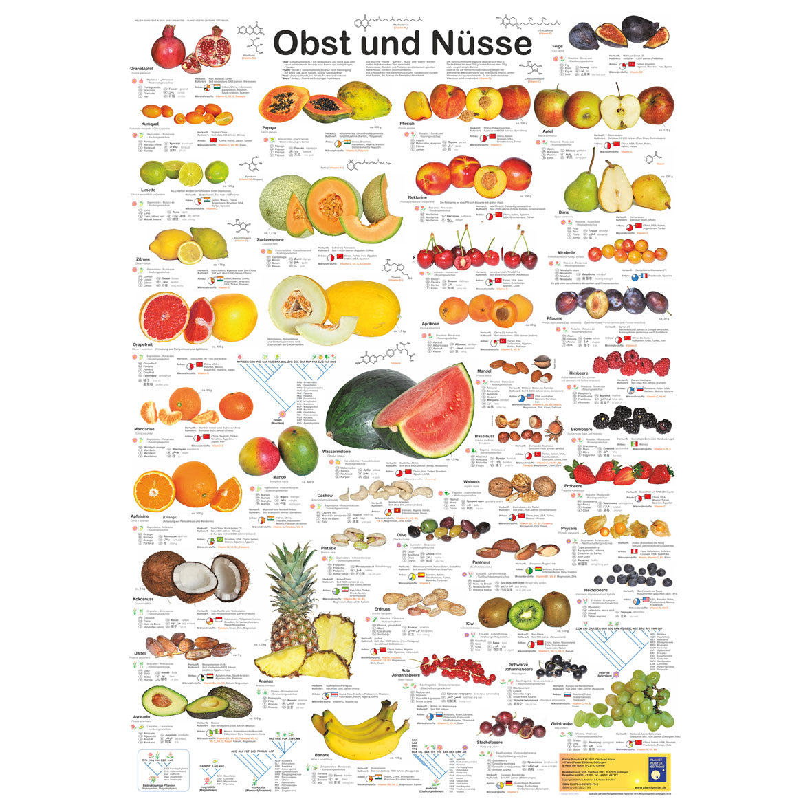 Poster "Obst und Nüsse"