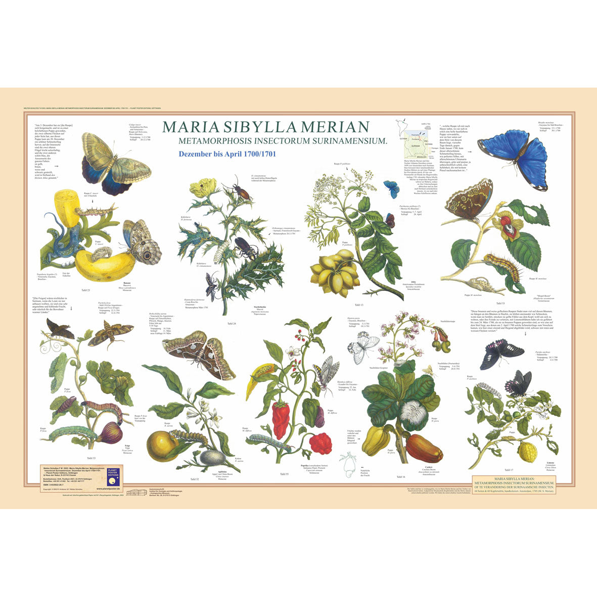 Poster "Maria Sibylla Merian I"