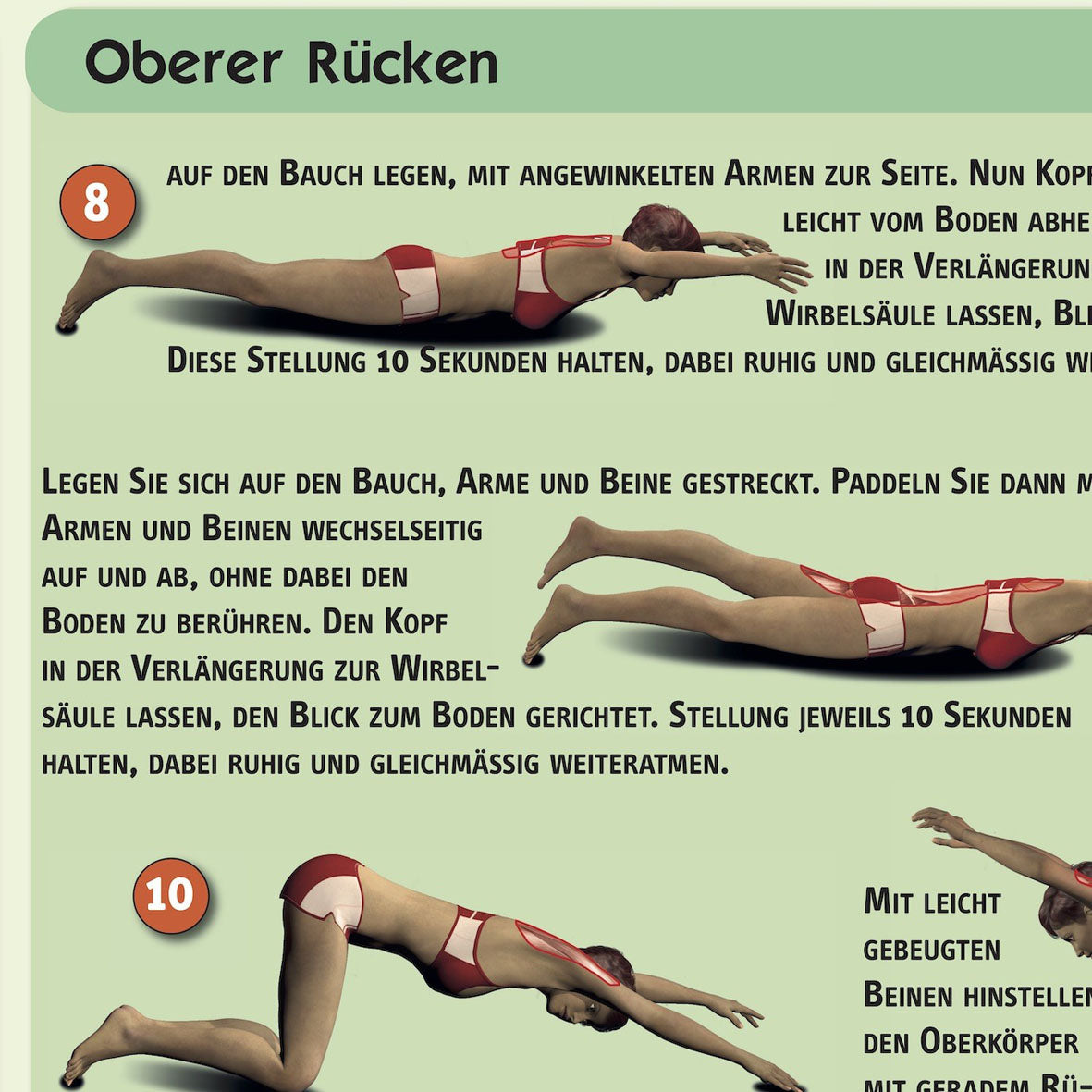 Lernposter "Rückentraining"