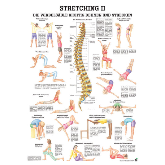 Poster "Stretching II"