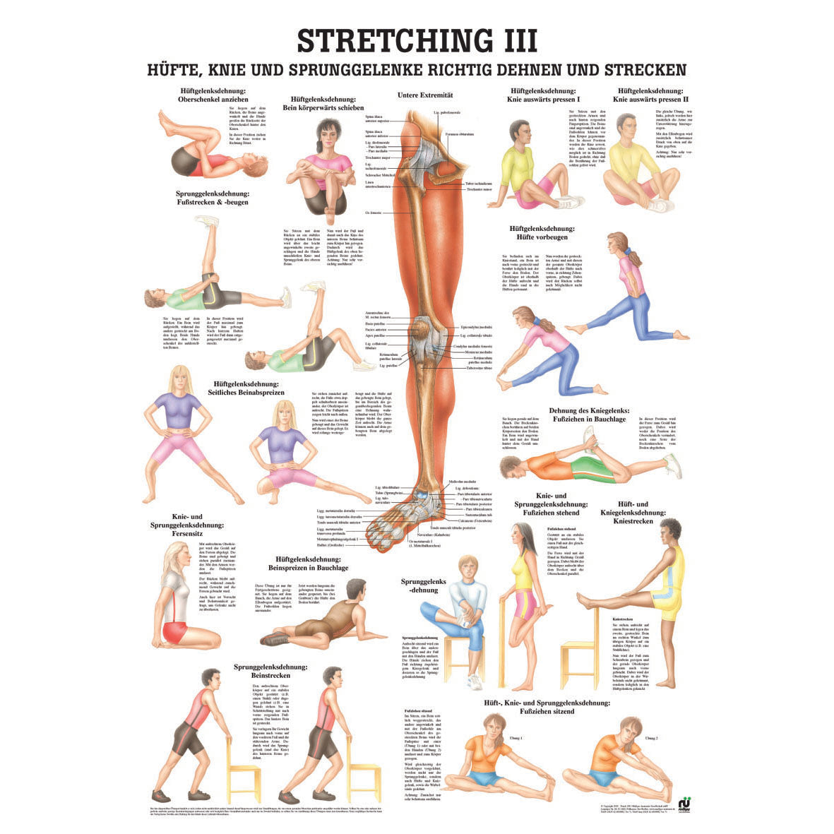 Poster "Stretching III"