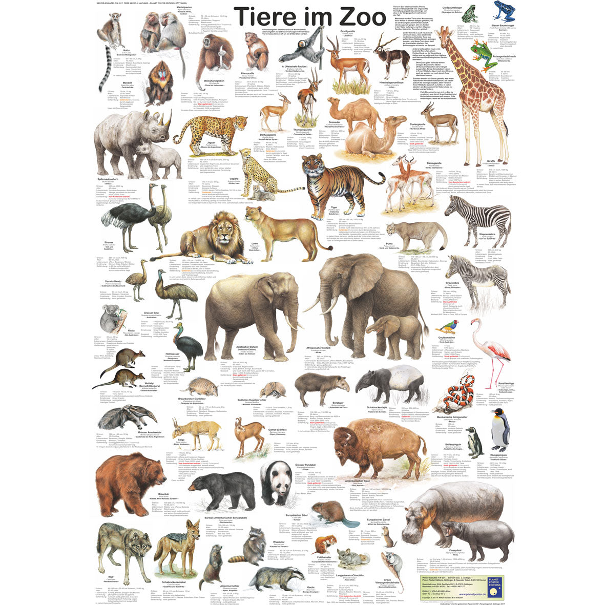 Poster "Tiere im Zoo"
