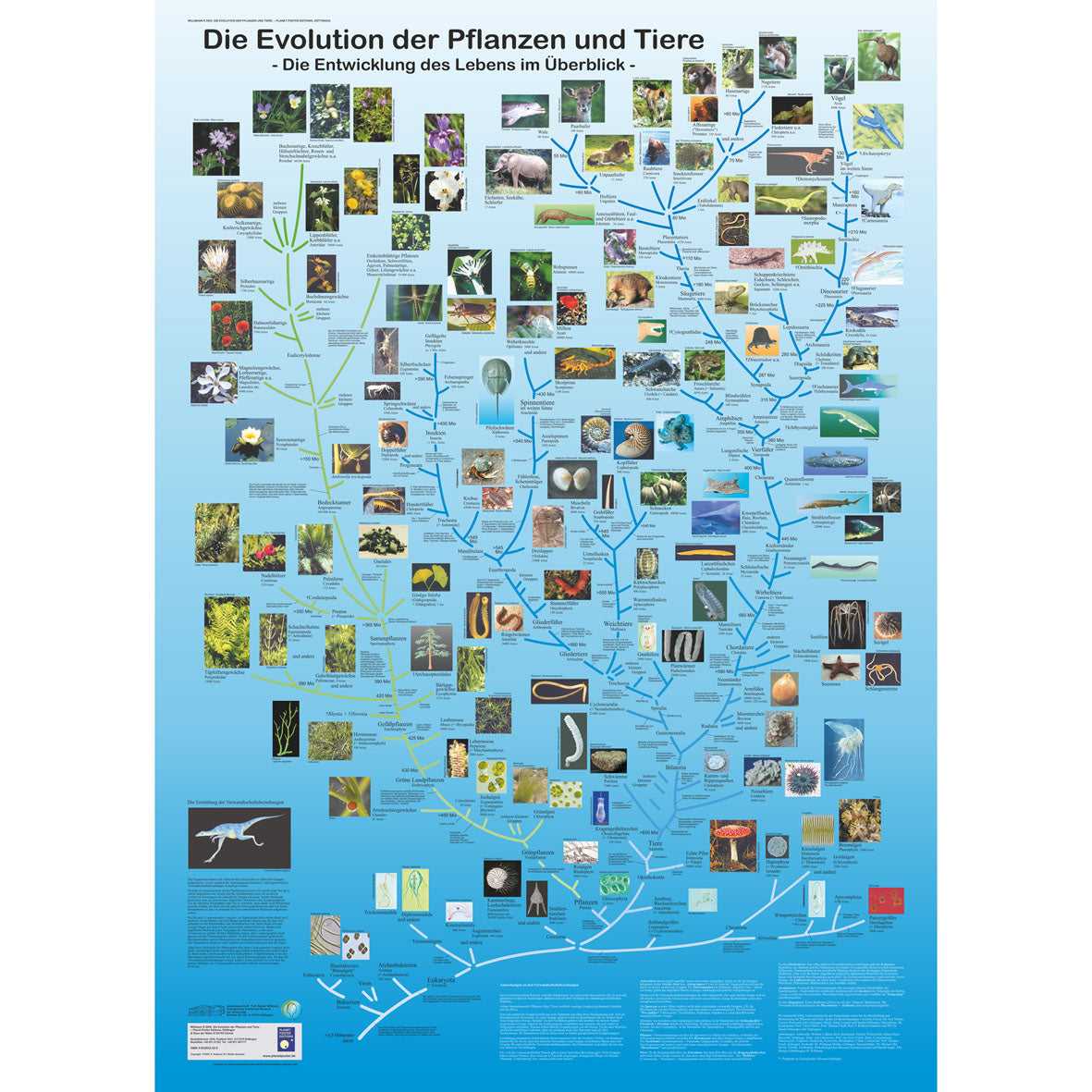 Poster "Evolution der Pflanzen und Tiere"