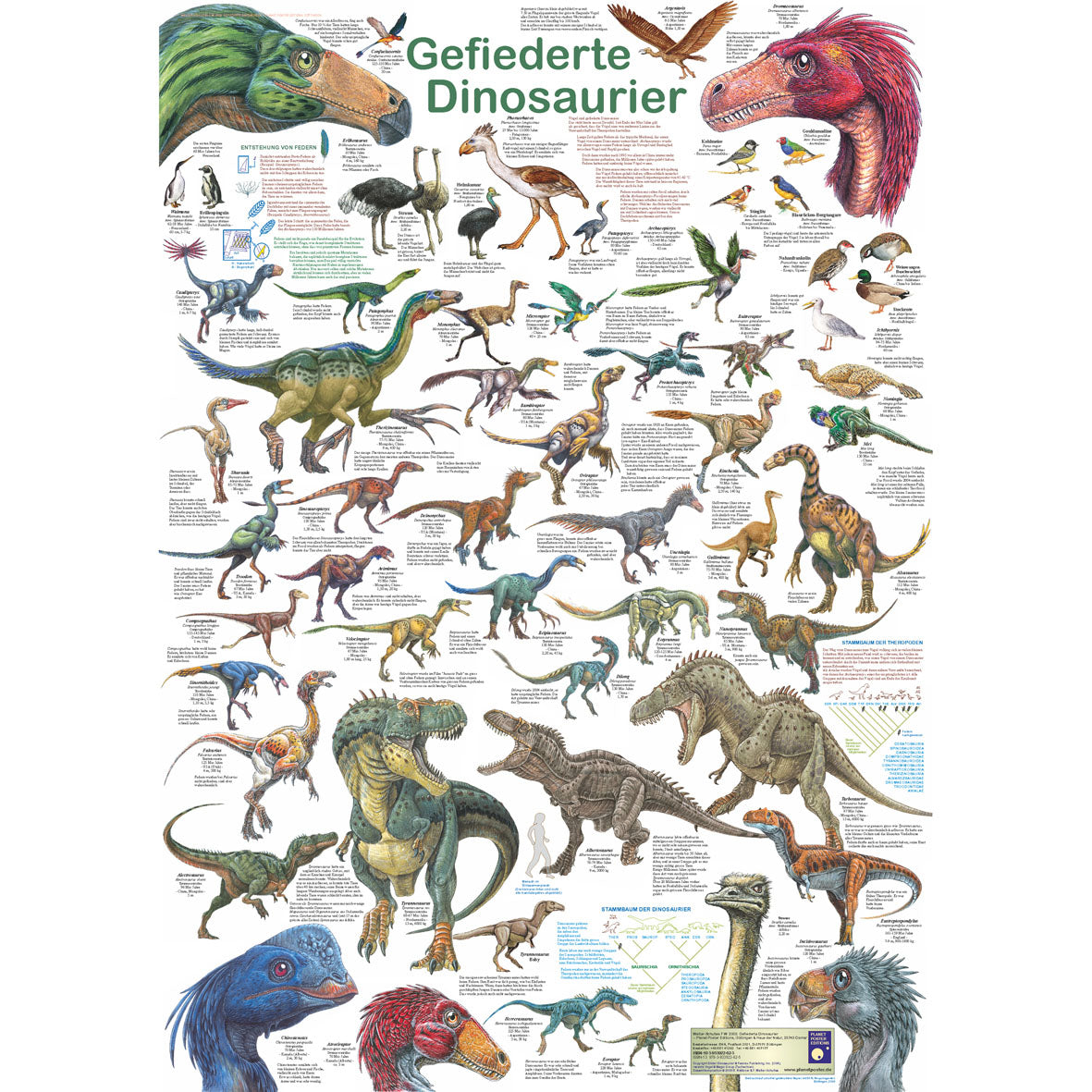 Poster "Gefiederte Dinosaurier"