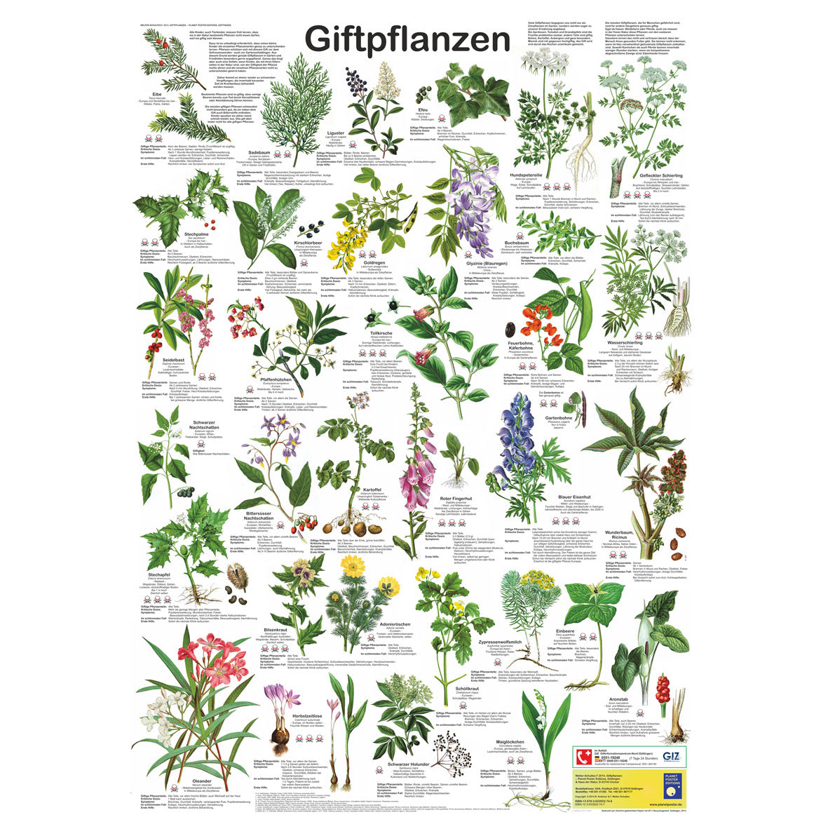 Poster "Giftpflanzen"