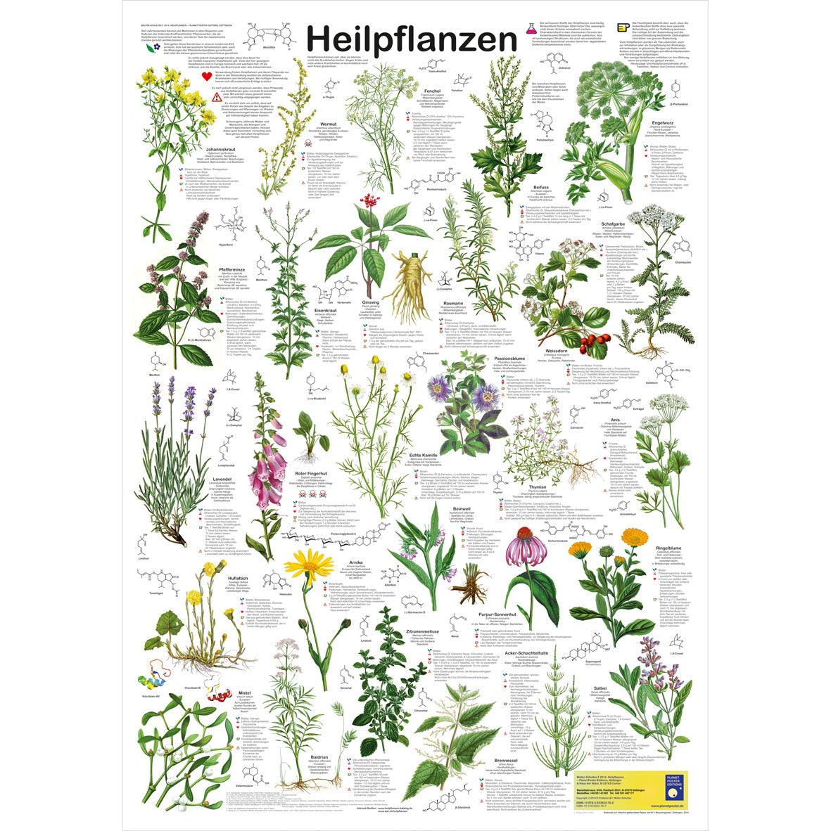 Poster "Heilpflanzen"