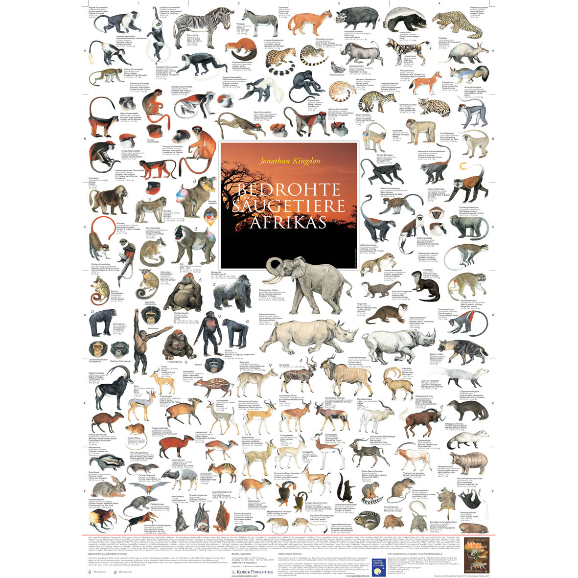 Poster "Bedrohte Säugetiere Afrikas"