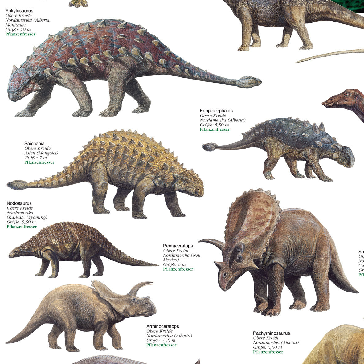 Poster "Dinosaurier aus der Kreidezeit"