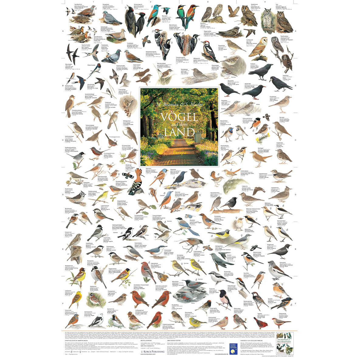Poster "Vögel auf dem Land"