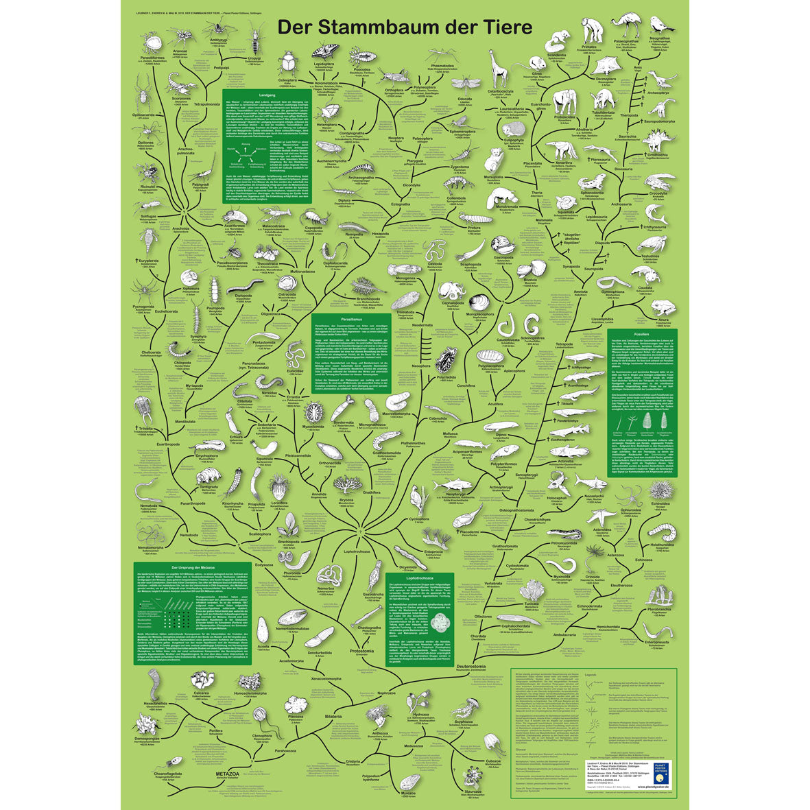 Poster "Stammbaum der Tiere"