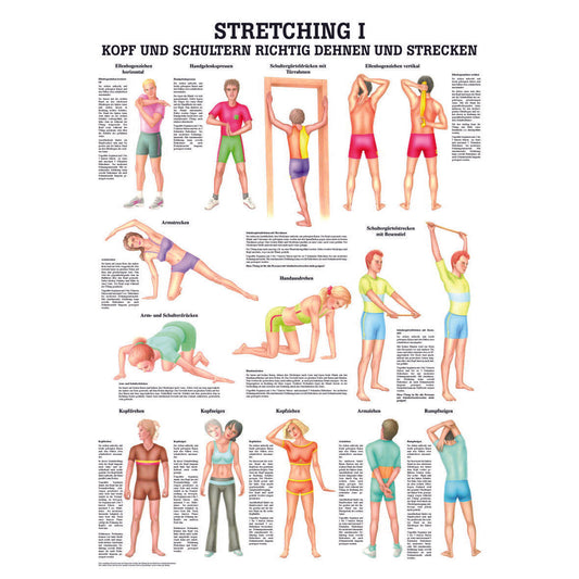 Poster "Stretching I"
