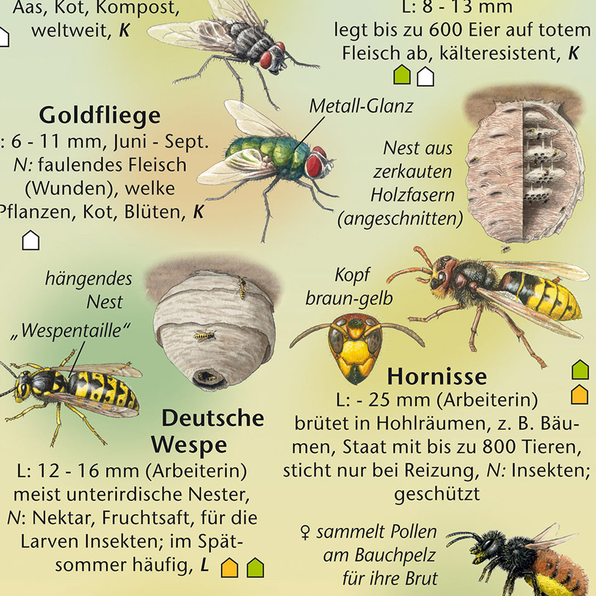 Bestimmungshilfe "Tiere im und am Haus"