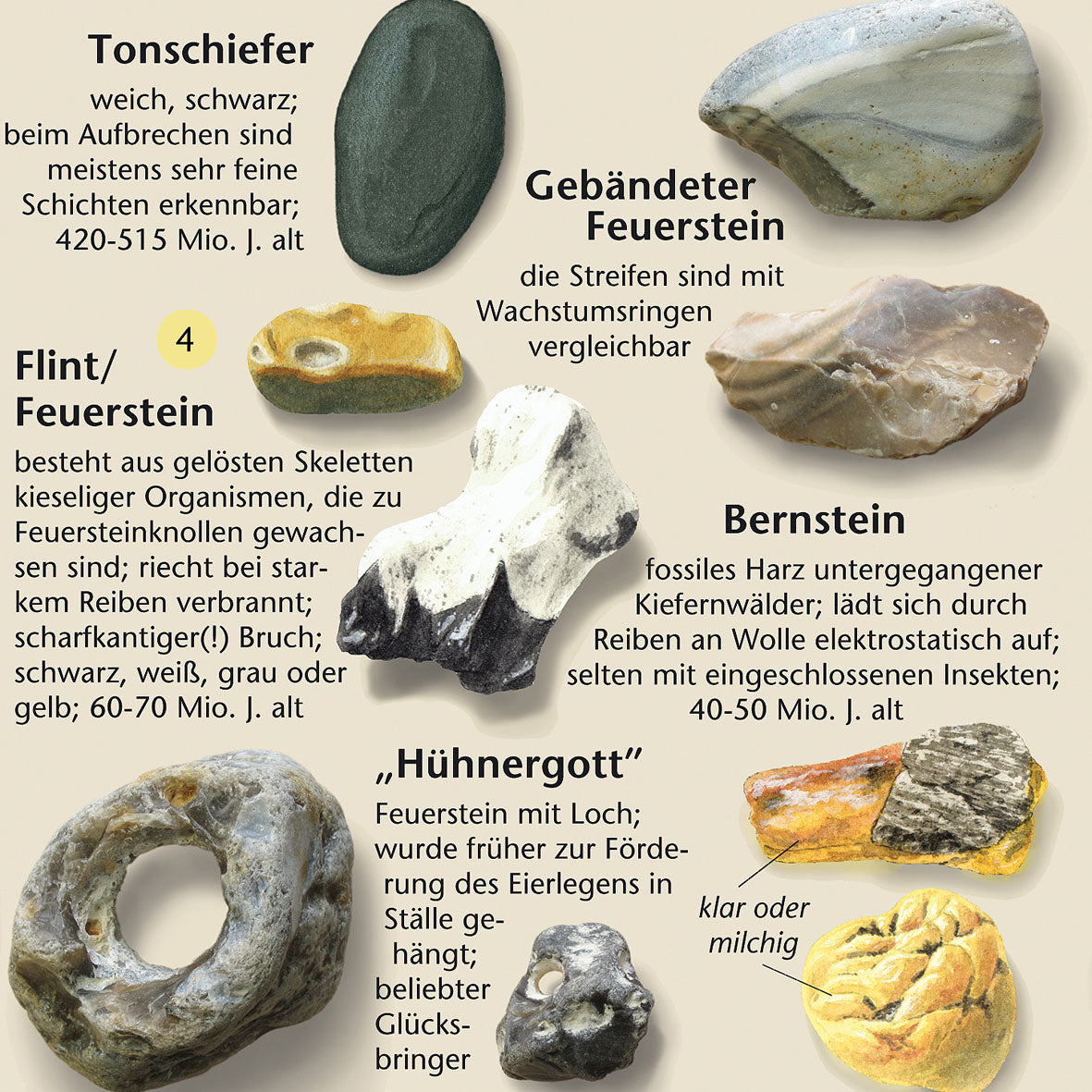 Bestimmungshilfe "Steine am Ostseestrand"