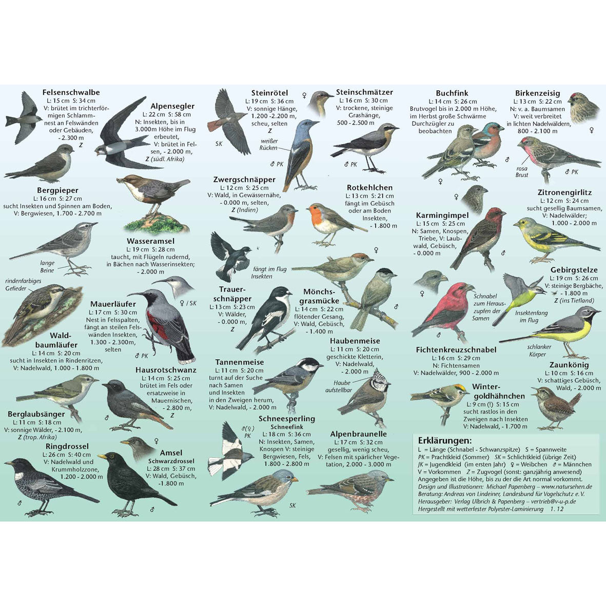 Bestimmungshilfe "Vögel der Alpen"