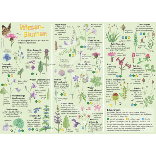Bestimmungshilfe "Wiesenblumen"