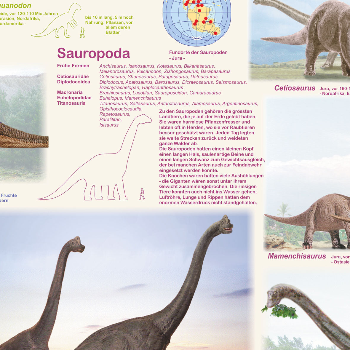 Poster "Dinosaurier"