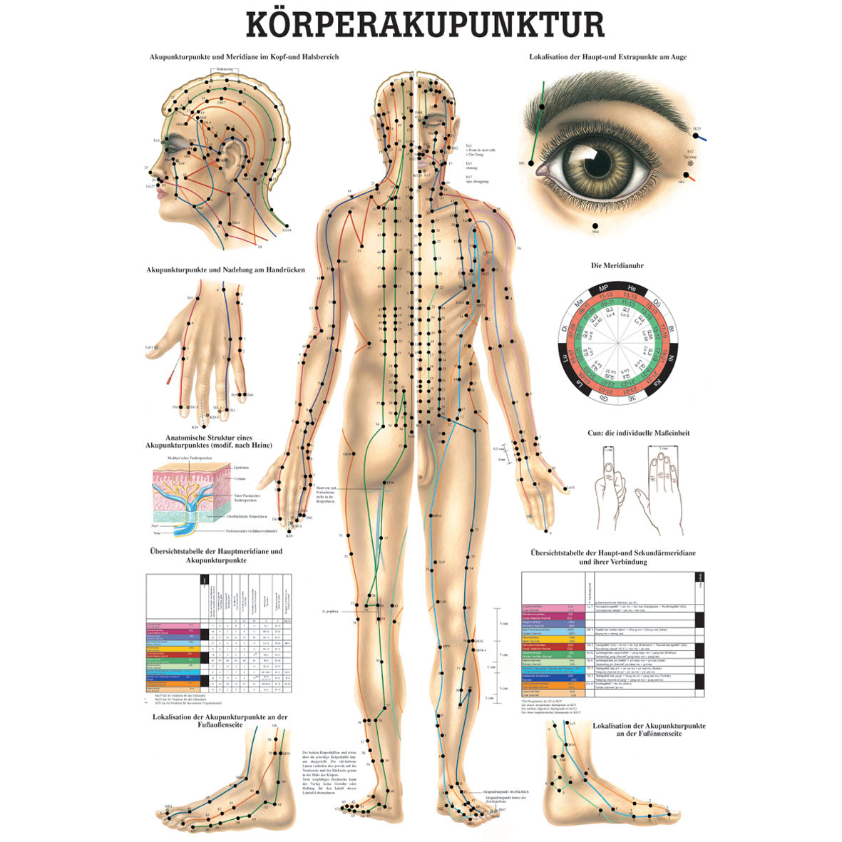 Anatomisches Poster "Körperakupunktur"
