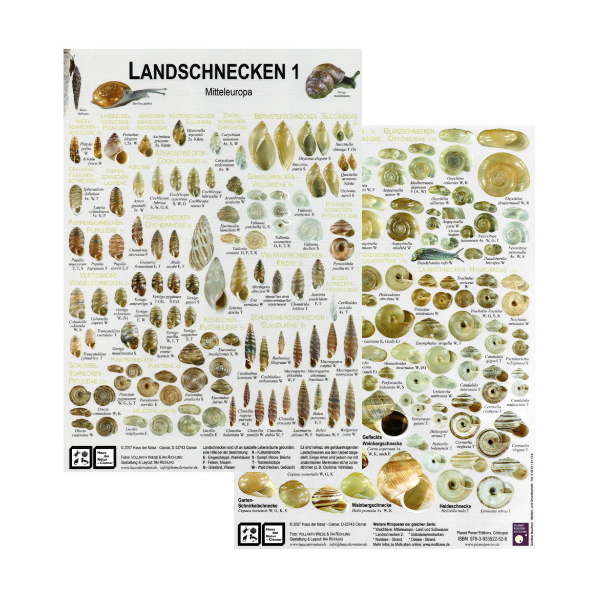 Chart "Landschnecken 1 - Mitteleuropa"