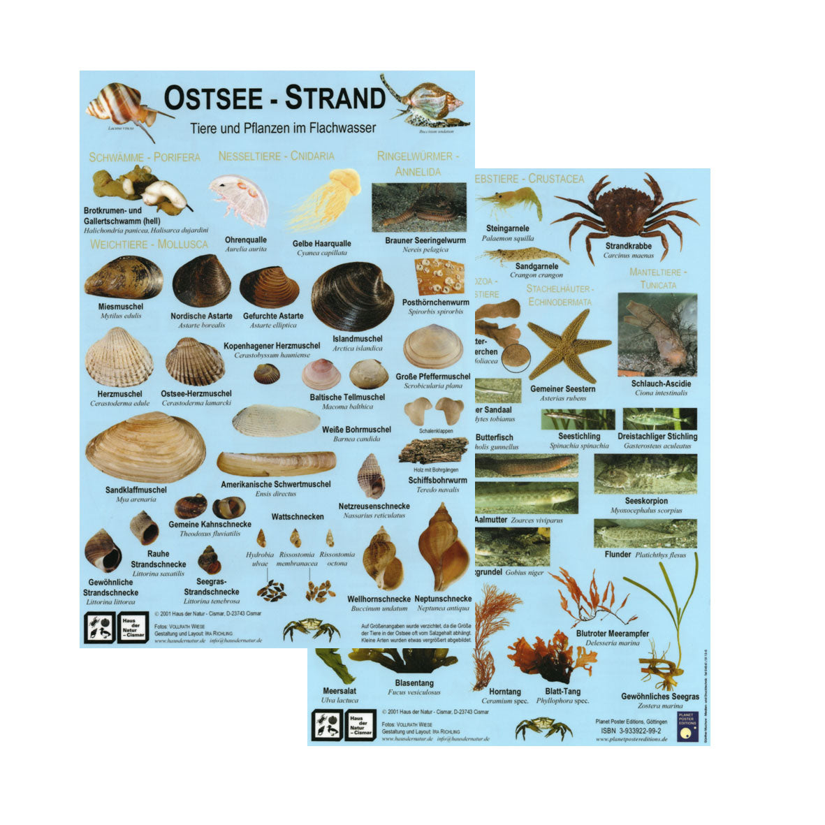 Chart "Ostsee-Strand"
