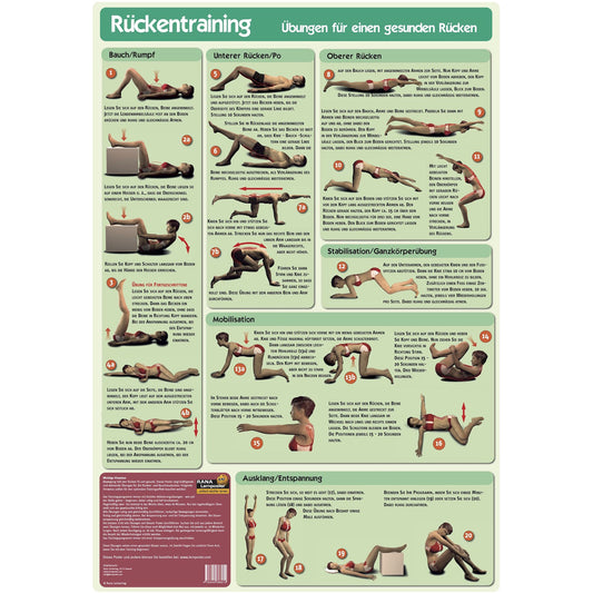 Lernposter "Rückentraining"