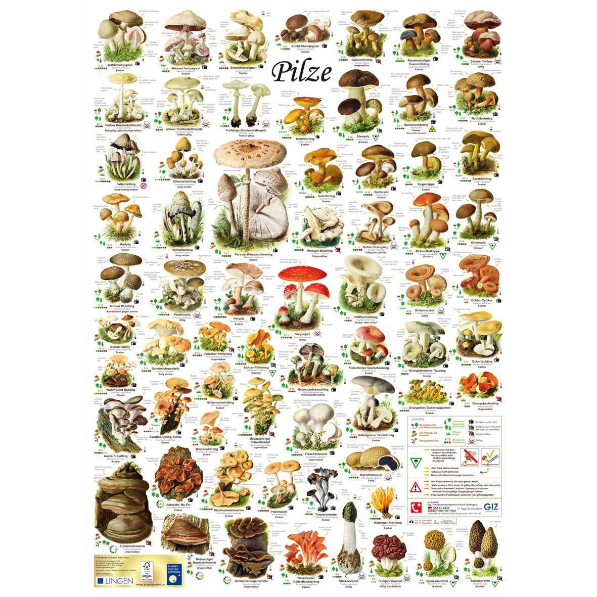 Posterset "Pilze" und "Früchte"