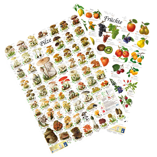 Posterset "Pilze" und "Früchte"