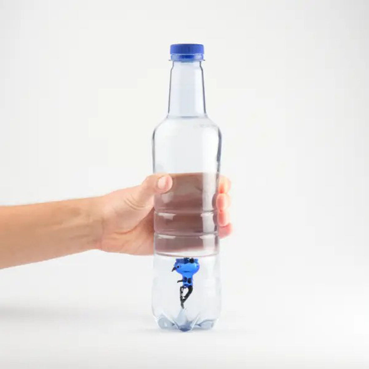 Kartesianischer Flaschenteufel