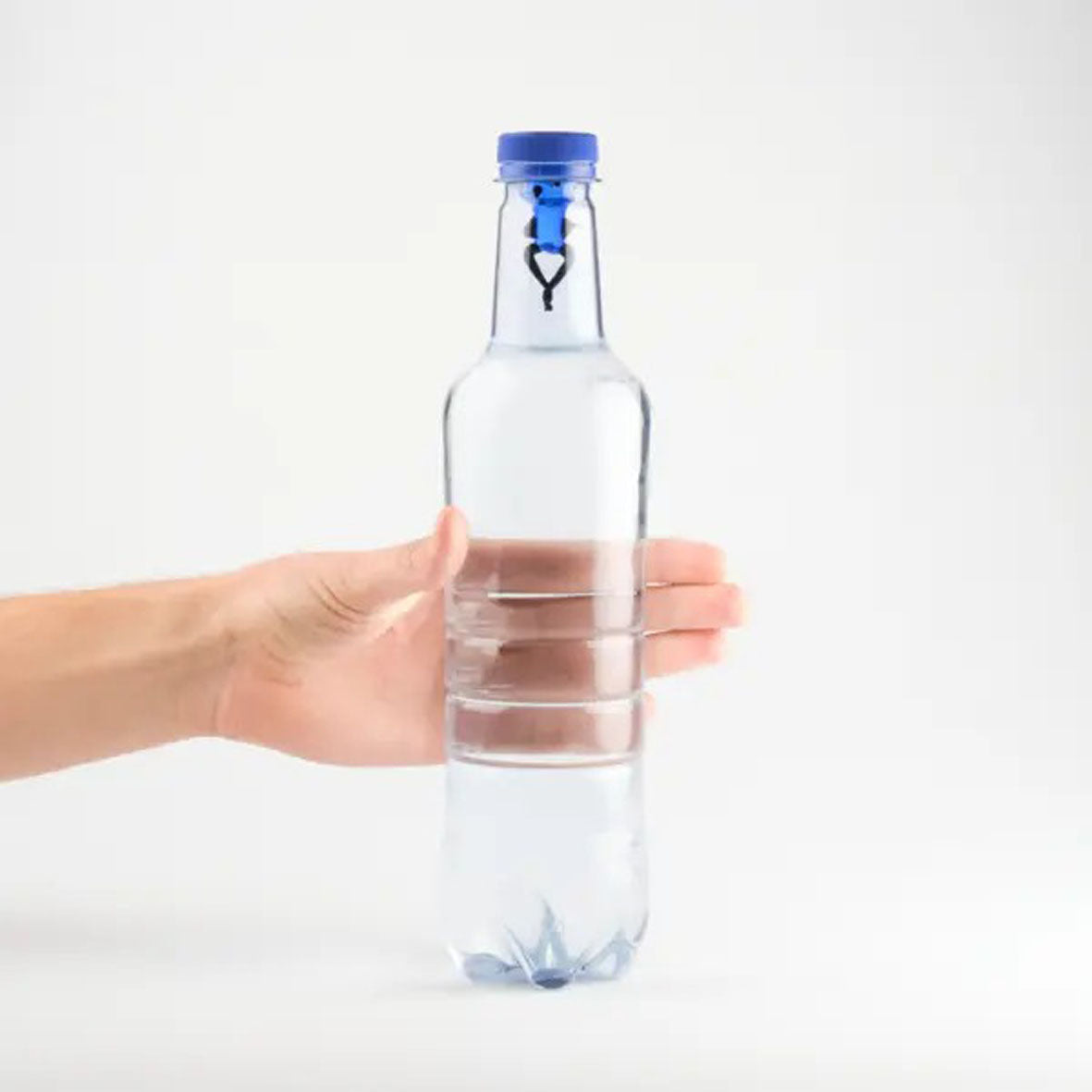 Kartesianischer Flaschenteufel