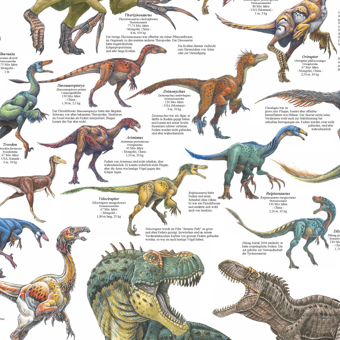 Poster "Gefiederte Dinosaurier"