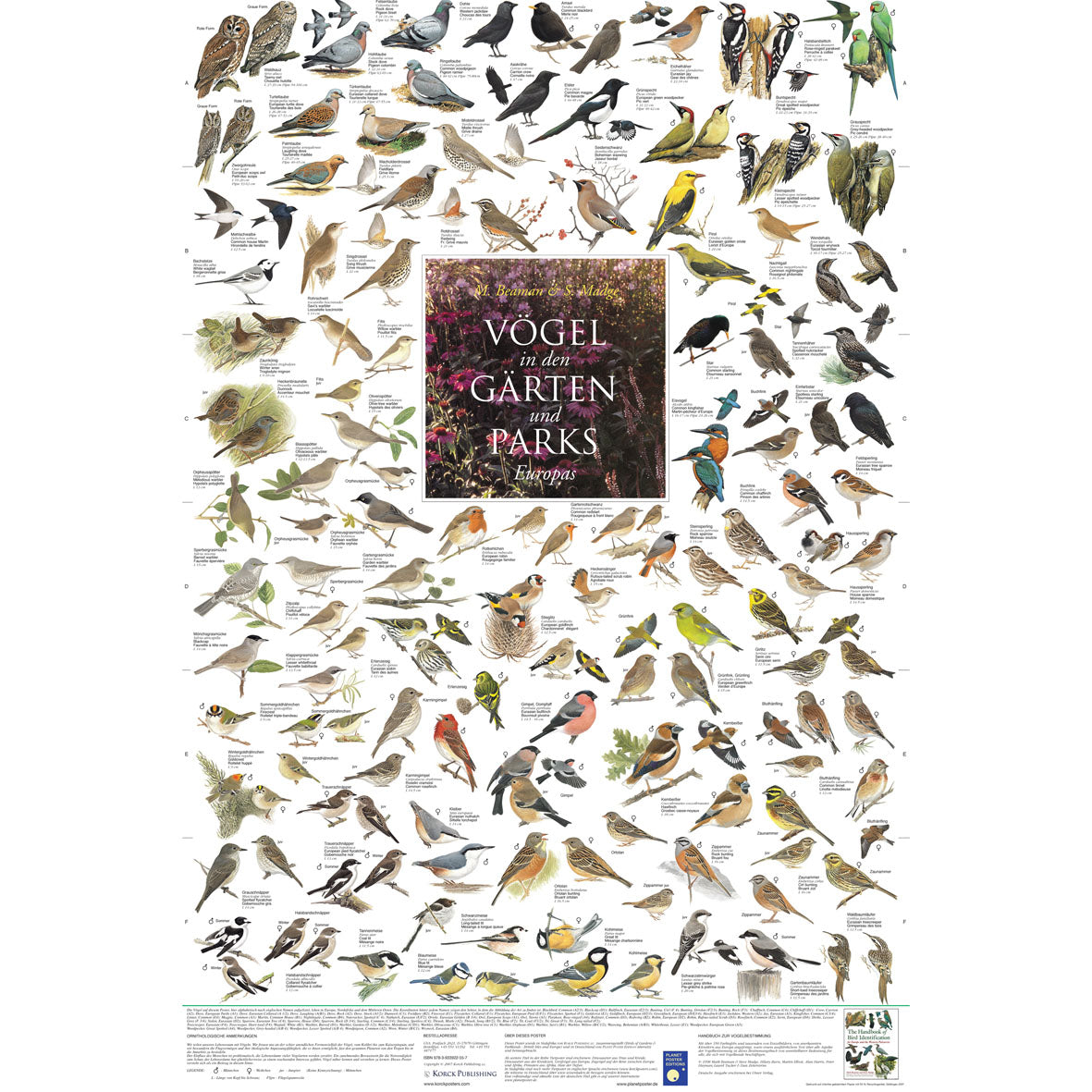 Poster "Vögel in den Gärten und Parks Europas"